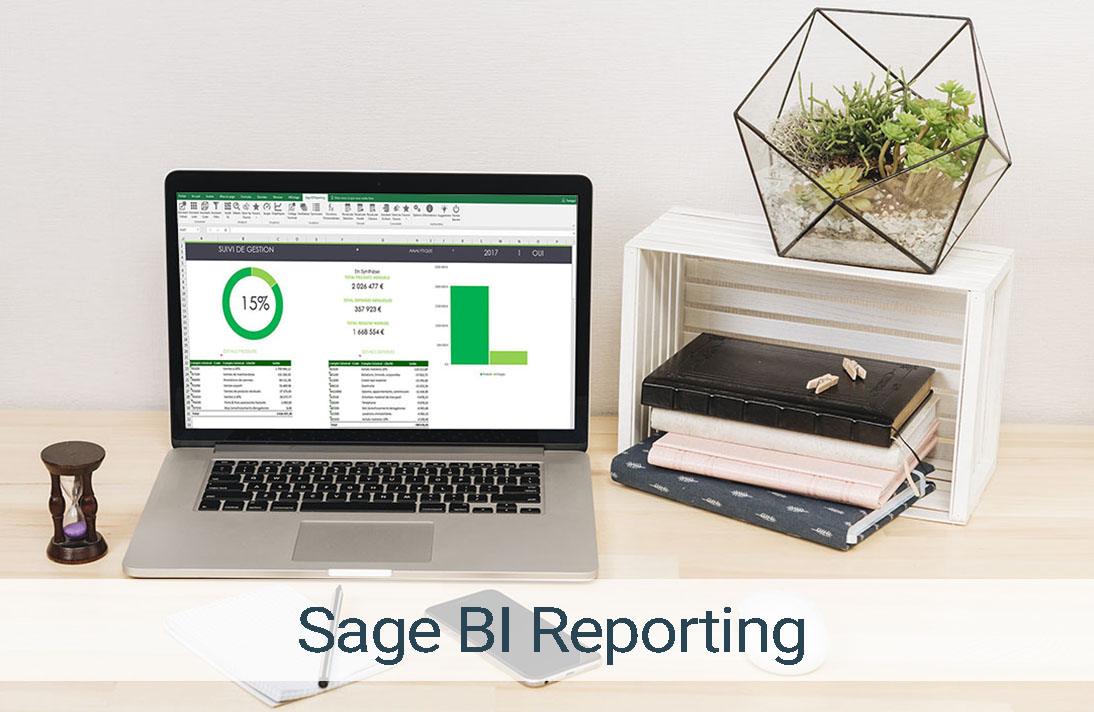 Sage BI Reporting vignette