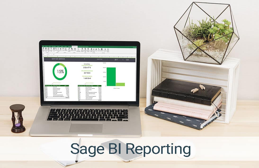 webinaire sage 100 BI Reporting