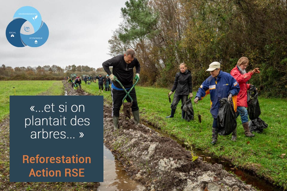 RSE_mercuria_plantation_reforestation_ferme_plessé_collaboratif_acvtion_environnement_regional_actualité