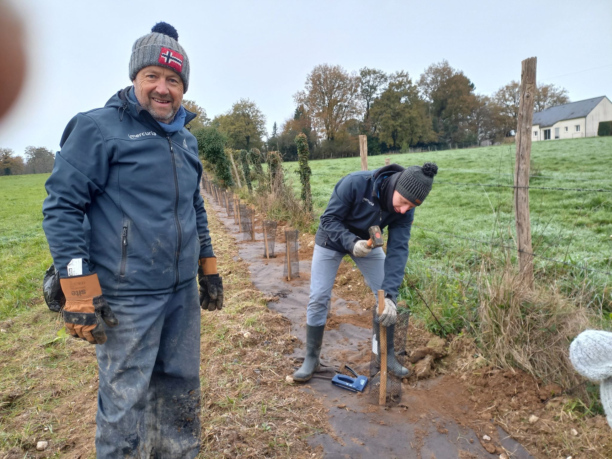Mercuria_RSE_plantation de haie_ferme blanc verger_2